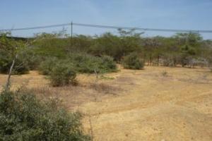 Terreno Residencial / Venta / Punto Fijo / Guanadito / FLEXMLS-09-2508