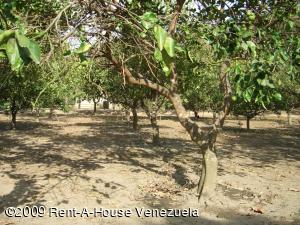 LISETH GONZALEZ Terreno Residencial En Venta En Valencia - San Diego C&oacute;digo FLEX: 09-2538 No.5