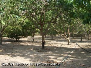 LISETH GONZALEZ Terreno Residencial En Venta En Valencia - San Diego C&oacute;digo FLEX: 09-2538 No.6
