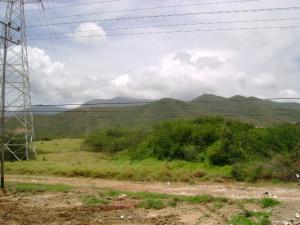 Terreno Residencial / Venta / Municipio Garcia El Valle / Macho Muerto / FLEXMLS-09-2552