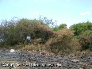 MASTER INTERNATIONAL Terreno En Venta En Municipio Garcia El Valle - Macho Muerto C&oacute;digo FLEX: 09-2549