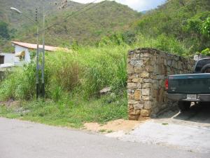 EILEEN CASTILLO Terreno  Venta Maracay Lomas de Palmarito FLEXMLS-09-2700