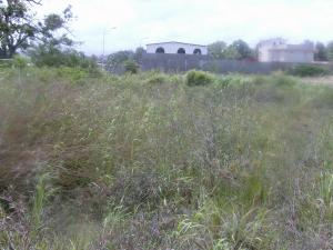 Terreno Residencial / Venta / Cumana / Las Marías / FLEXMLS-09-2881