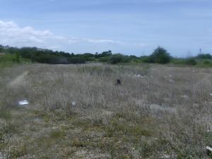 Terreno Residencial / Venta / Cumana / Las Marías / FLEXMLS-09-3714