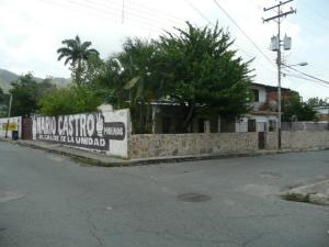 IGNATHELL RAMIREZ Terreno Comercial En Venta En Maracay - El Limon C&oacute;digo FLEX: 09-4013