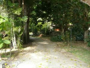 EILEEN CASTILLO Terreno  Venta Maracay El Castaño FLEXMLS-09-4017