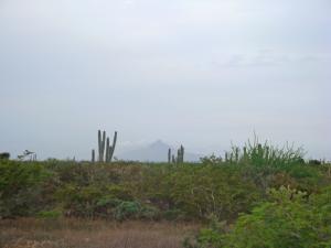 Terreno Residencial / Venta / Punto Fijo / Guanadito / FLEXMLS-09-4149