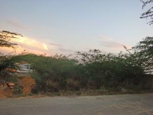 Terreno Residencial / Venta / Punto Fijo / Guanadito / FLEXMLS-09-4437