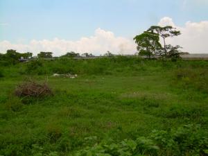 EILEEN CASTILLO Terreno  Venta Santa Cruz de Aragua Los Mangos FLEXMLS-09-5889