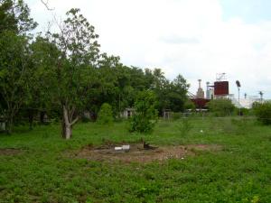 EILEEN CASTILLO Terreno Industrial En Venta En Santa Cruz de Aragua - Los Mangos Código FLEX: 09-5889 No.1
