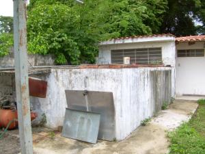 EILEEN CASTILLO Terreno Industrial En Venta En Santa Cruz de Aragua - Los Mangos Código FLEX: 09-5889 No.4
