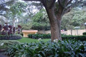 ARIADNA BOUQUETT MORENO Townhouse Venta Caracas Macaracuay FLEXMLS-09-6034
