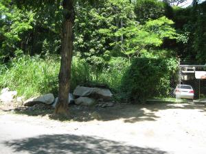 EILEEN CASTILLO Terreno  Venta Choroni Calle Principal FLEXMLS-09-6095