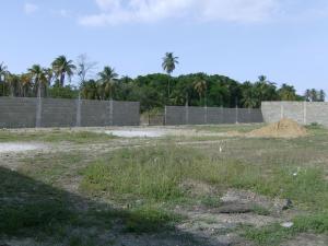 FRANQUICIA MASTER COLOMBIA Terreno Residencial en Venta en Las Marías en Cumana C&oacute;digo: 09-6994 No.0