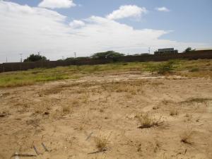 FRANQUICIA MASTER COLOMBIA Terreno Comercial en Venta en El Cardon en Punto Fijo C&oacute;digo: 10-24 No.0