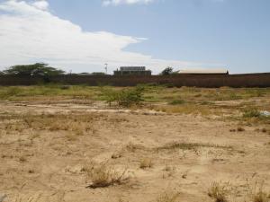 FRANQUICIA MASTER COLOMBIA Terreno Comercial en Venta en El Cardon en Punto Fijo C&oacute;digo: 10-24 No.9