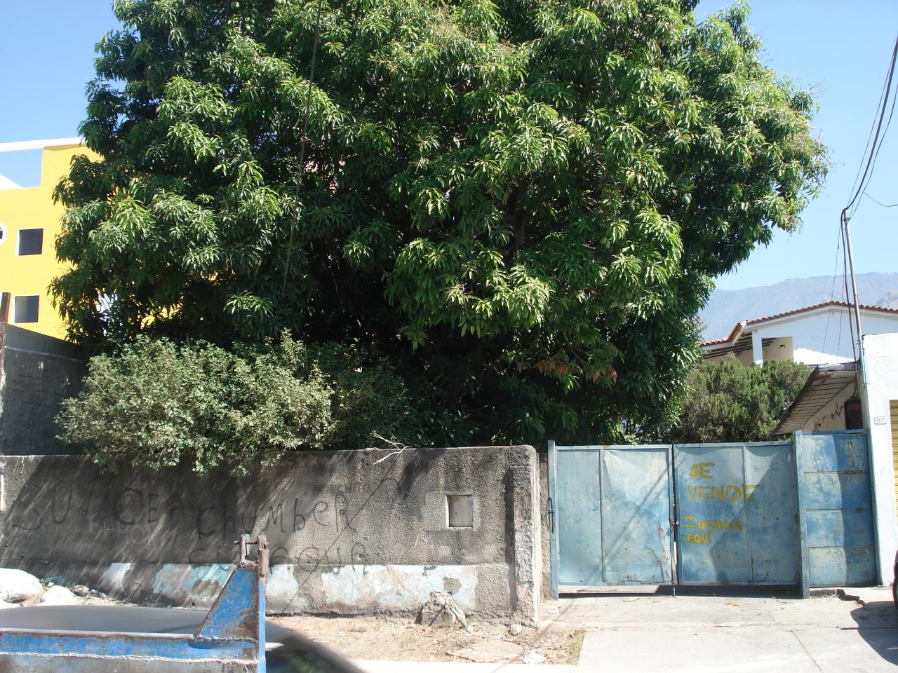 OSCAR ILLARRAMENDI Terreno Comercial En Venta En Maracay - El Limon C&oacute;digo FLEX: 10-700 No.0