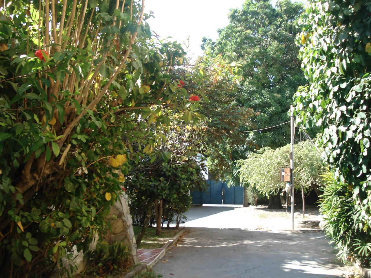OSCAR ILLARRAMENDI Terreno Comercial En Venta En Maracay - El Limon C&oacute;digo FLEX: 10-700 No.7