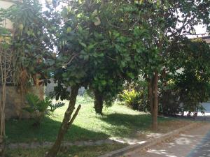 IGNATHELL RAMIREZ Terreno Comercial En Venta En Maracay - El Limon C&oacute;digo FLEX: 10-700 No.8