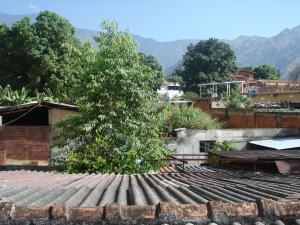 IGNATHELL RAMIREZ Terreno Comercial En Venta En Maracay - El Limon C&oacute;digo FLEX: 10-700 No.9