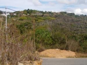 ERNESTO JIMENEZ Terreno Residencial En Venta En Caracas - El Hatillo C&oacute;digo FLEX: 10-1021 No.1