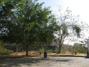 ROSAURA ISLA Terreno  Venta Valencia Altos de Guataparo FLEXMLS-06-289
