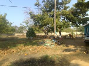 JUSMERI ESPINA Terreno  Venta Ciudad Ojeda Calle Piar FLEXMLS-10-1212