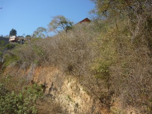 ARIADNA BOUQUETT MORENO Terreno  Venta Caracas Colinas de Caicaguana FLEXMLS-10-1479