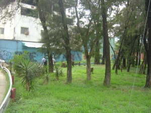 FRANQUICIA MASTER COLOMBIA Edificio en Venta en El Paraiso en Caracas C&oacute;digo: 10-1457 No.2