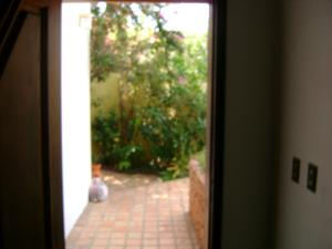 ROSAURA ISLA Casa En Venta En Valencia - Altos de Guataparo C&oacute;digo FLEX: 10-1707 No.8
