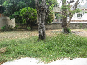EILEEN CASTILLO Terreno Comercial En Venta En Maracay - Barrio Sucre C&oacute;digo FLEX: 10-1787