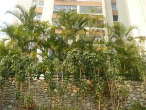 DEYANIRA OCHOA Apartamento Venta Caracas Sebucan FLEXMLS-10-1833