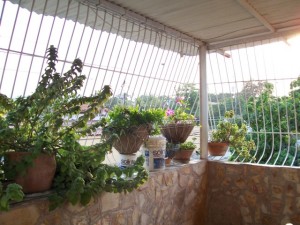 MASTER INTERNATIONAL Casa en Venta en Parroquia Jos� Gregorio en Cabudare C&oacute;digo: 07-123 No.8