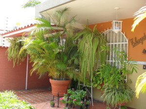 EILEEN CASTILLO Casa En Venta En Cagua - Centro Código FLEX: 10-2353 No.3