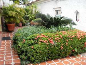 EILEEN CASTILLO Casa En Venta En Cagua - Centro Código FLEX: 10-2353 No.4