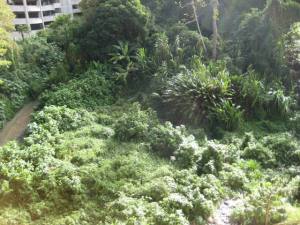 Bel�n Mar�n y David Del Corral Terreno  En Venta En Caracas - La Boyera C&oacute;digo FLEX: 06-5756 No.1