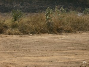 RENT-A-HOUSE VALENCIA Terreno Residencial En Venta En Valencia - Manongo C&oacute;digo FLEX: 10-2732 No.7