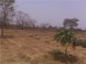 JUSMERI ESPINA Terreno  Venta Ciudad Ojeda Tia Juana FLEXMLS-10-2832