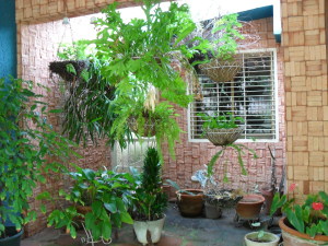 SORVELY SANCHEZ Casa En Venta En Valencia - El Parral C&oacute;digo FLEX: 10-3280 No.3