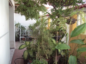 EILEEN CASTILLO Casa En Venta En Turmero - Sorocaima Código FLEX: 10-3757 No.1