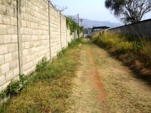 MARIA ALBA GIORDANO Terreno  Venta Municipio Diego Ibarra Mariara FLEXMLS-10-3963