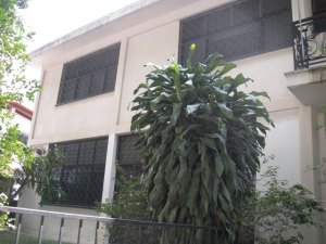 ARIADNA BOUQUETT MORENO Casa Venta Caracas Vista Alegre FLEXMLS-10-4412