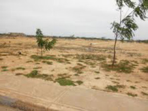 MASTER INTERNATIONAL Terreno Residencial en Venta en El Oasis en Punto Fijo C&oacute;digo: 10-5306 No.8