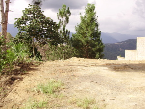 Terreno Residencial / Venta / Caracas / Caicaguana / FLEXMLS-10-5363