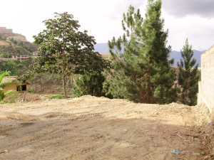 ARIADNA BOUQUETT MORENO Terreno  Venta Caracas Caicaguana FLEXMLS-10-5363