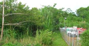 Terreno Residencial / Venta / Caucagua / Merecure / FLEXMLS-10-6619