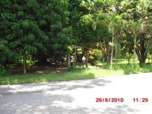 Casa / Venta / Rio Chico / El Guapo / FLEXMLS-10-6759