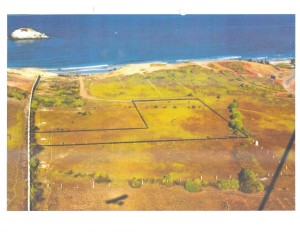 PEDRO ARNAL Terreno  Venta Municipio Antolin del Campo Paraguachi Playa El Agua FLEXMLS-10-4284
