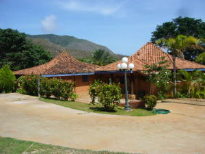 PEDRO ARNAL Casa Venta Municipio Arismendi La Asuncion Guayabal FLEXMLS-10-6985