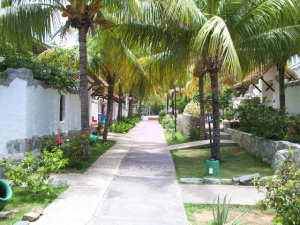 FRANQUICIA REGIONAL CENTRAL Apartamento en Venta en Playa El Agua en Municipio Antolin del Campo Paraguachi C&oacute;digo: 10-7000 No.8